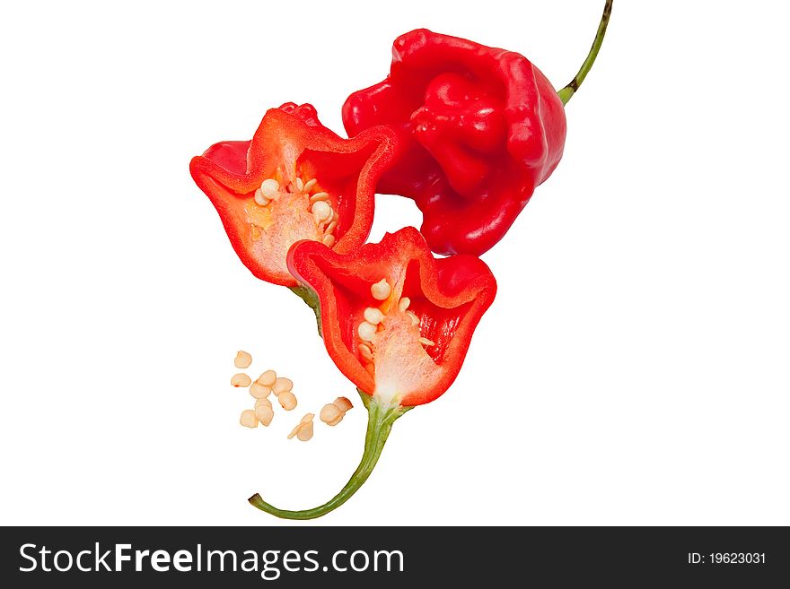 Flower shaped red chili peppers of Baccatum species isolated on white background, some cut through to show the seeds