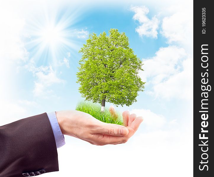 Human hand, grass and tree on sky background. Collage. Human hand, grass and tree on sky background. Collage.