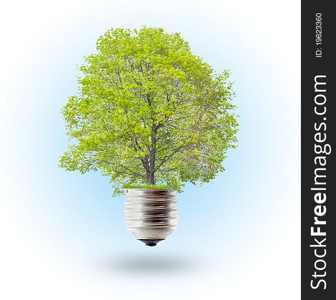 Green energy concept - green tree growing out of a bulb
