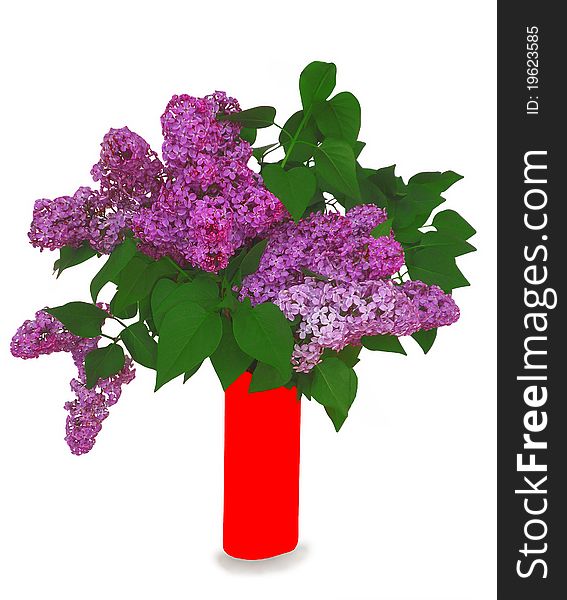 Spring bouquet of lilacs in a vase