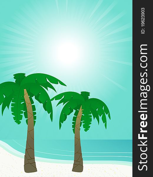 Tropical palm trees on a white sandy beach with turquoise sea. Tropical palm trees on a white sandy beach with turquoise sea