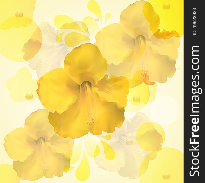 Yellow Hibiscus Flower Background