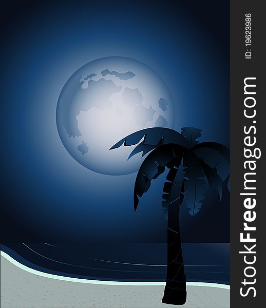 Palm tree on a beach at night with full moon. Palm tree on a beach at night with full moon