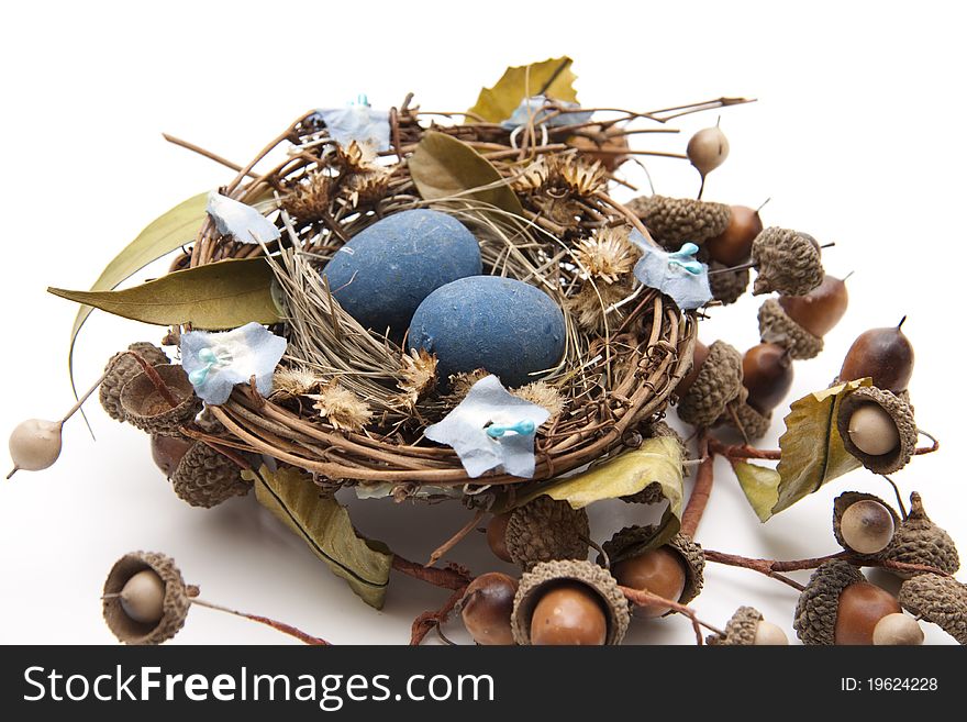 Bird nest with nest of eggs and acorn branch