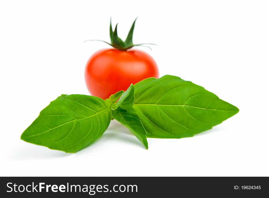 An image of basil leafs with tomato on white background