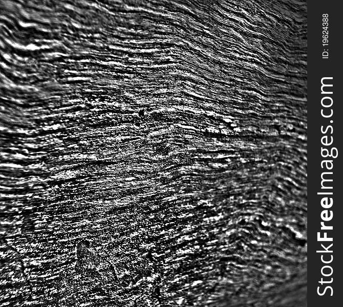 Black and white Wood Texture