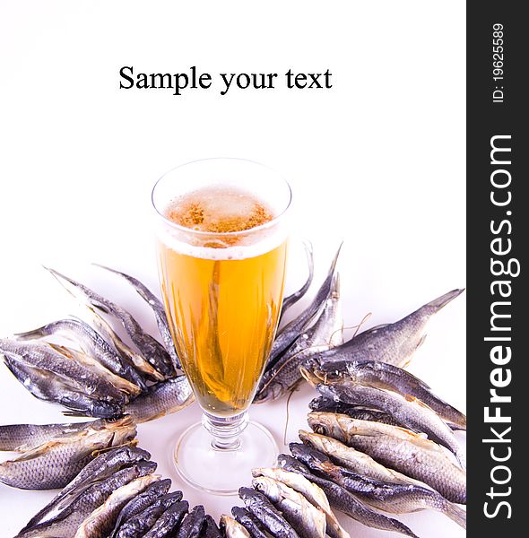 Set of dried fish and beer isolated on white backdrop
