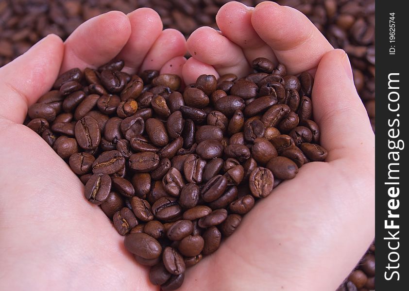Roasted coffee beans in hands