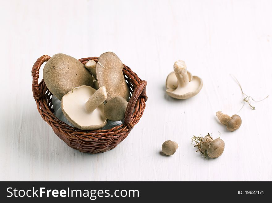 Little basket of mushrooms on white table. Little basket of mushrooms on white table