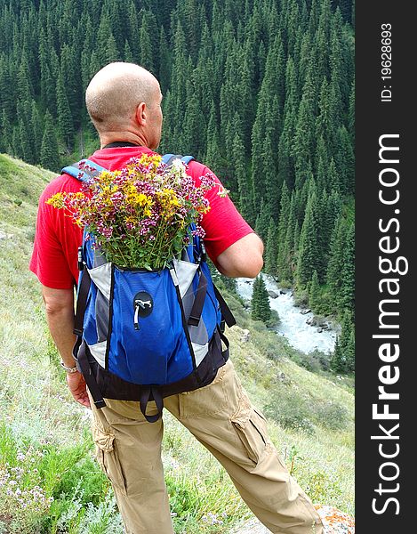 The man the traveller in mountains with a backpack and wild flowers