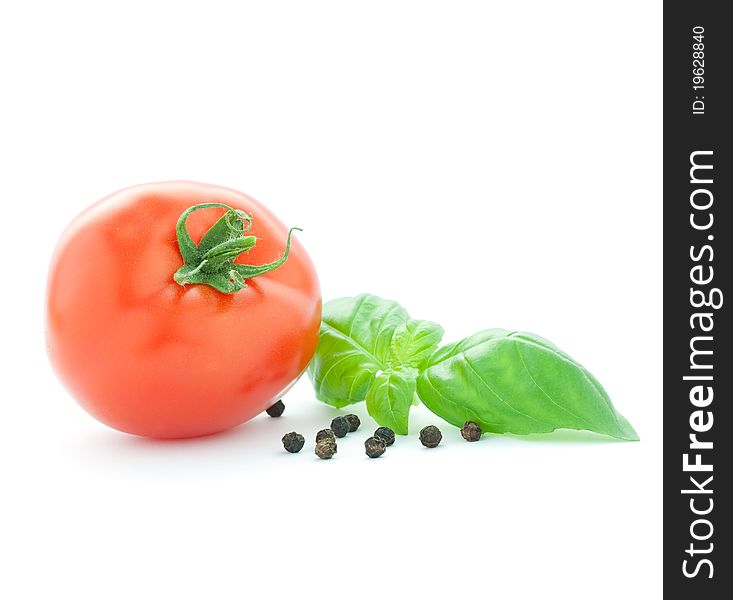 Tomato and basil isolated on white