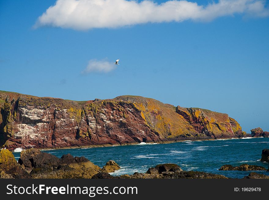 The coastline of st abbs in scotland. The coastline of st abbs in scotland