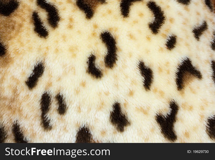 Abstract texture of leopard skin