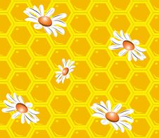 Seamless Honeycomb Pattern - Free Stock Images & Photos - 9513746 | StockFreeImages.com