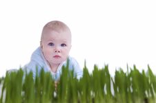 Kid Crawl Royalty Free Stock Image