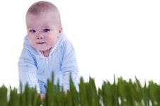 Kid Crawl Stock Images