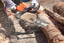 The Chainsaw Cutting The Log Of Wood Royalty Free Stock Images The Chainsaw Cutting The Log Of Wood Royalty Free Stock Images