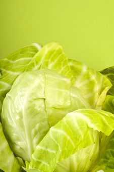 Fresh Cabbage Stock Photography