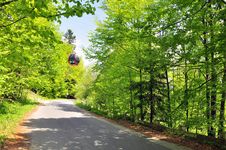 Chair Lift In Forest Royalty Free Stock Image