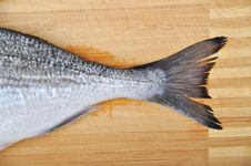Fresh Fish Royalty Free Stock Photography Fresh Fish Royalty Free Stock Photography