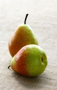Pears Stock Image Pears Stock Image
