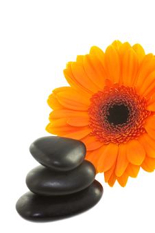 Spa Stones And Flower. Royalty Free Stock Photo