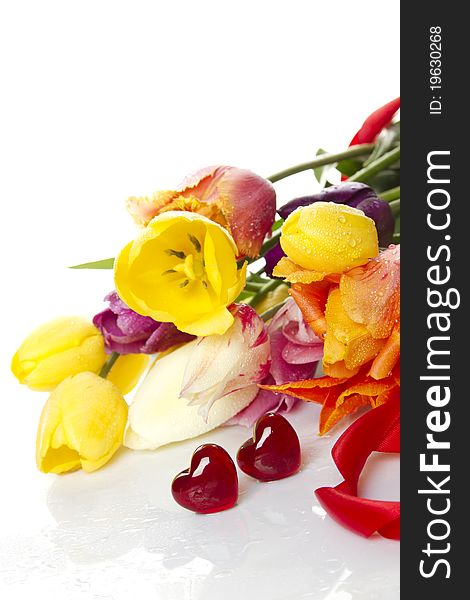 Lovely spring colored tulips with water drops lie in the bouquet in the foreground of the two red glass hearts. Isolated. Lovely spring colored tulips with water drops lie in the bouquet in the foreground of the two red glass hearts. Isolated