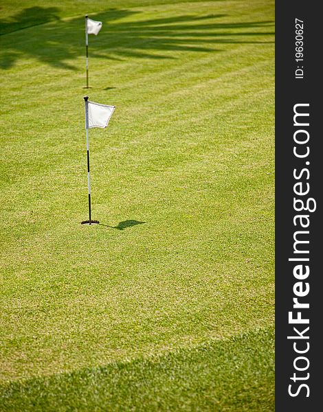 Golf Putting Green and Flag