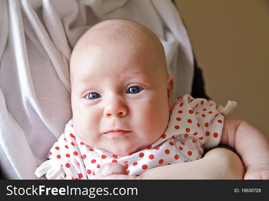 Funny little newborn girl looking into the camera. Funny little newborn girl looking into the camera
