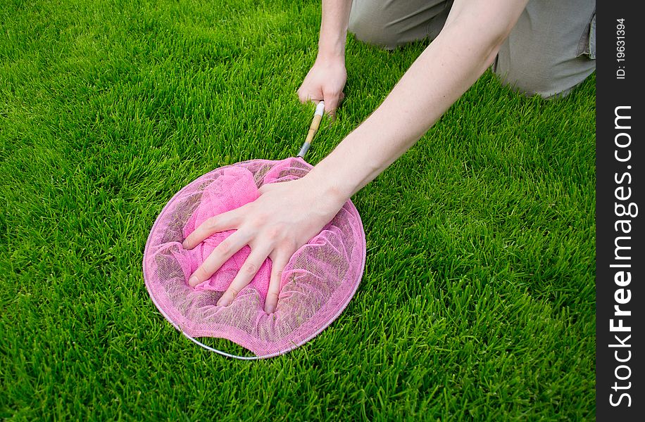 Hand with a butterfly net catching butterflies in the grass