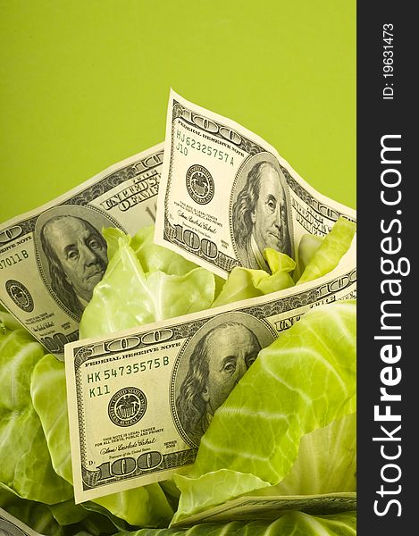 Creative money food on green