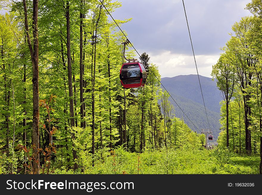 Twin cable car through the forest. Twin cable car through the forest