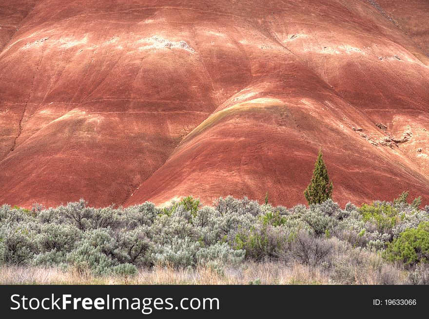 Contrast Of The Painted Hills.