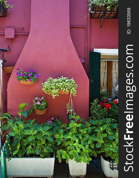 Pink Patio And Garden, Burano, Italy