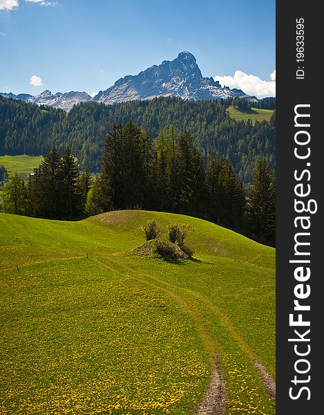 Spring pastures in Dolomite Mountains of Italy