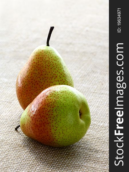 Two large beautiful multi-coloured pears close up