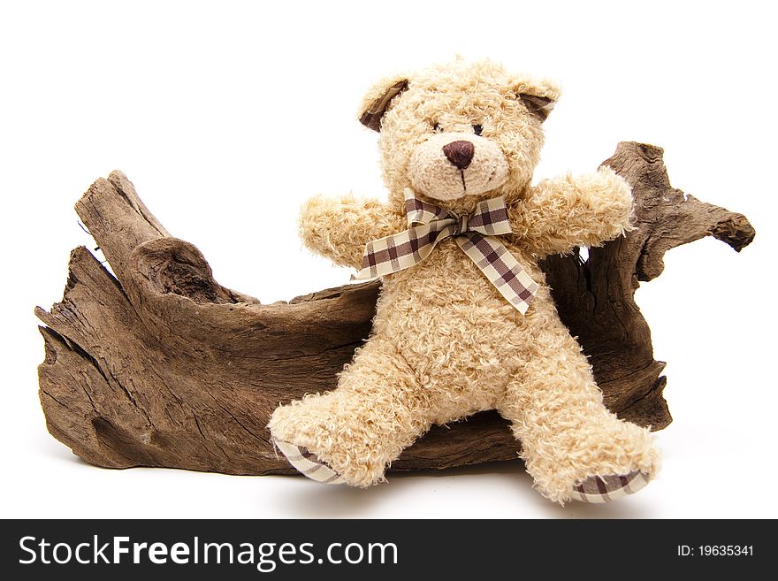 Plush bear with a bow and root