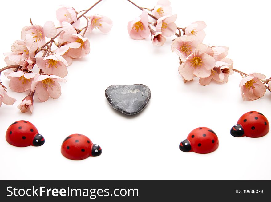 Ladybird with stone heart and flowering branch