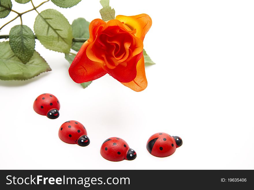 Ladybird of wood with red rose