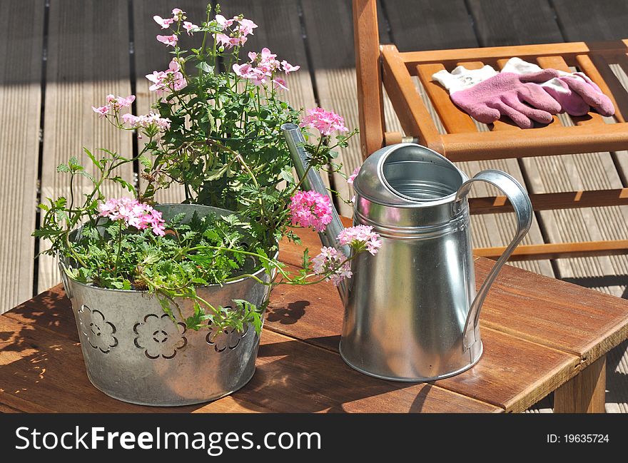 Verbena in a metal pot and gardening gloves pink on a wooden table. Verbena in a metal pot and gardening gloves pink on a wooden table