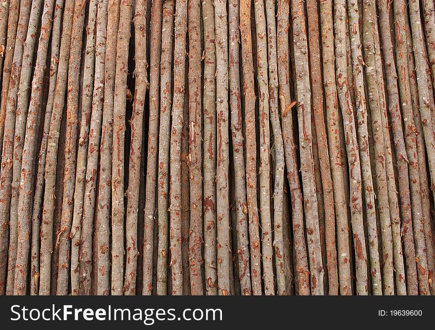 Fresh cut logs of wood in a saw mill