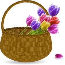 Tulips In A Wicker Basket Stock Images Tulips In A Wicker Basket Stock Images