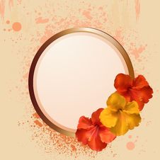 Hibiscus Flowers And Border Royalty Free Stock Image Hibiscus Flowers And Border Royalty Free Stock Image