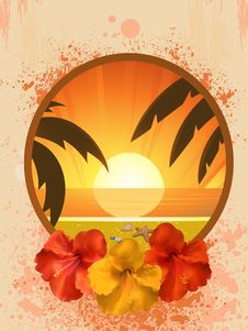 Hibiscus Flowers And Tropical Border Stock Photography