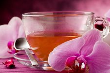 Orchid Tea Stock Image Orchid Tea Stock Image