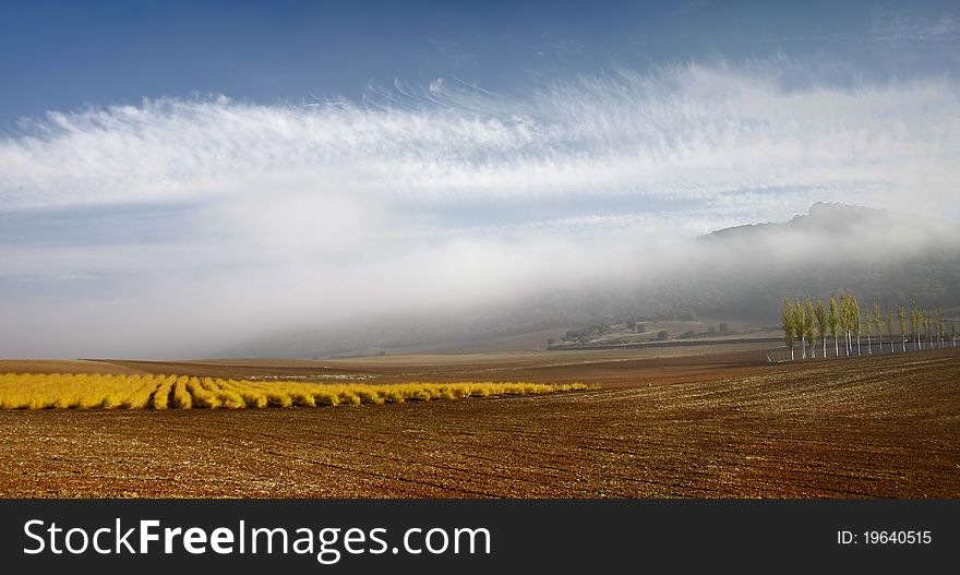 Agricultural And Fog