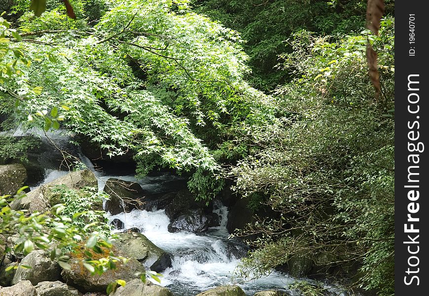 A river scene with rocks