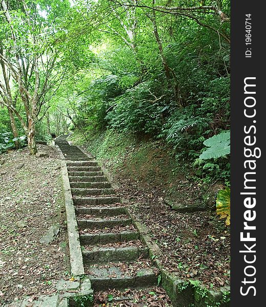 A stone stairway in the park of forest. A stone stairway in the park of forest