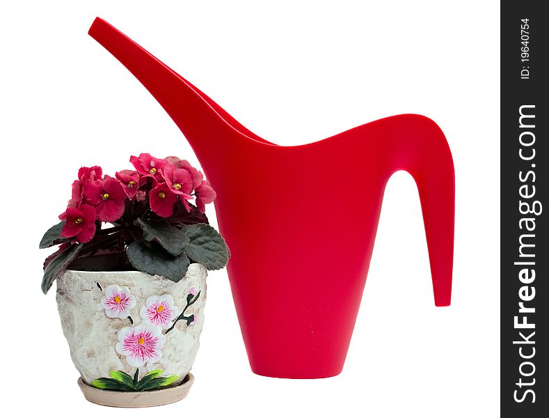 Red Watering Can And Flower In A Pot