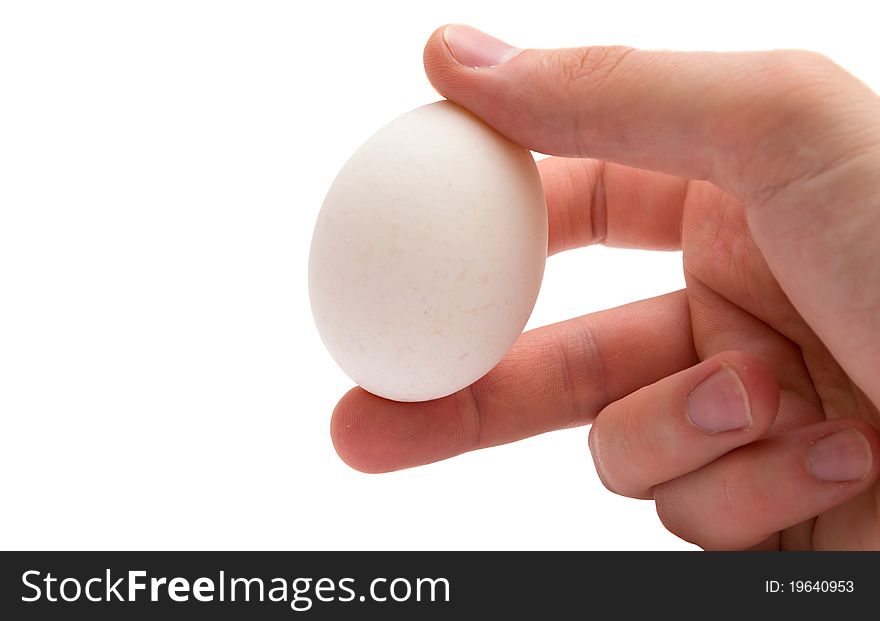 The hand holds an egg. isolated.